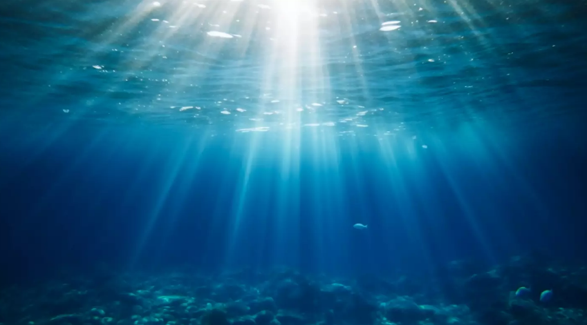 Scientists have finally cracked the mystery behind a bizarre underwater sound