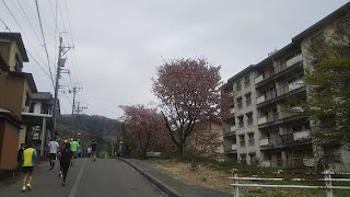 加賀温泉郷マラソン　地獄坂その１