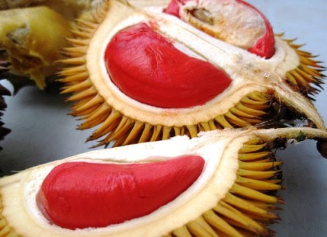 Isi Buah Durian Berwarna Merah