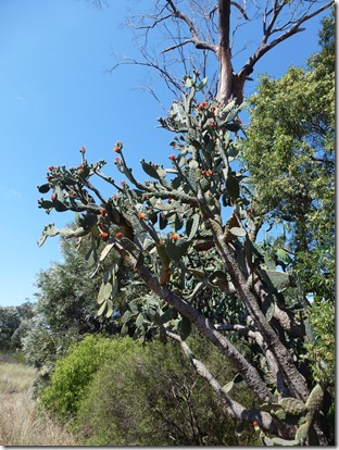 November 2011 045