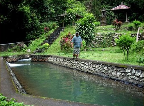  is an organisation owned past times the farmers inward Bali that specifically regulates H2O managem BaliTourismMap: Subak: Bali Traditional Water Management System (irrigation)