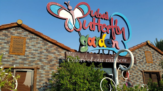 Learning About Butterflies: DUBAI BUTTERFLY GARDEN @http://colorsofourrainbow.blogspot.ae/