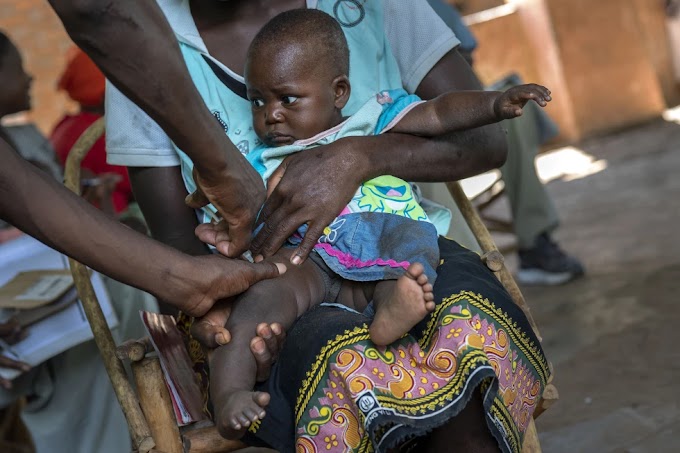 ONU autoriza uma segunda vacina contra a malária