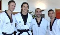 Ibrahimovic ceinture noire taekwondo