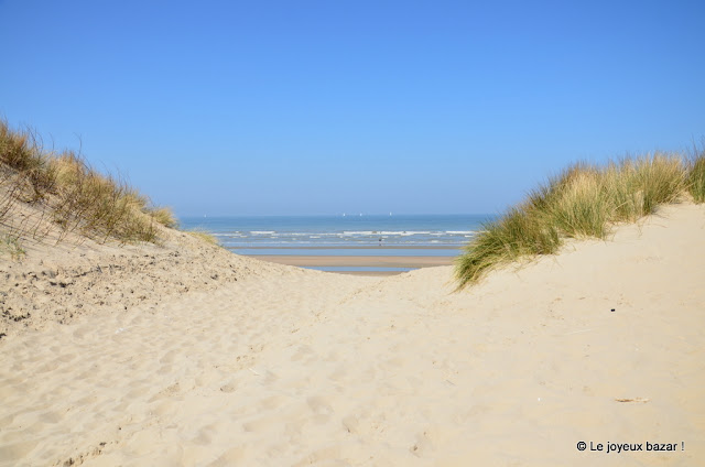 Belgique - Coxyde - plage et soleil