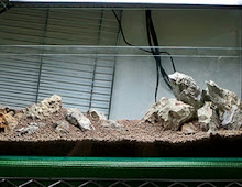 Substrat untuk aquascape