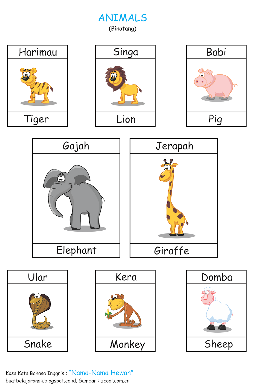 Belajar Bahasa  Inggris  Nama  Nama  Hewan Cara Mengajarku