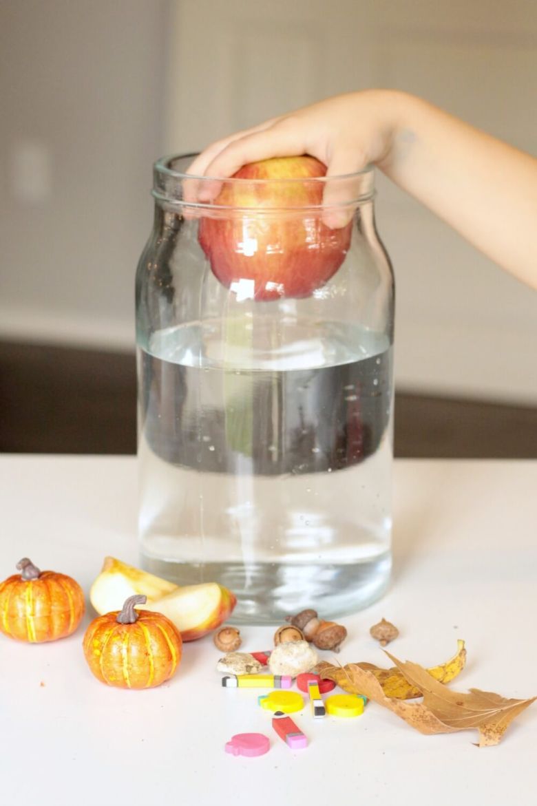 Float or sink autumn science activity for kids
