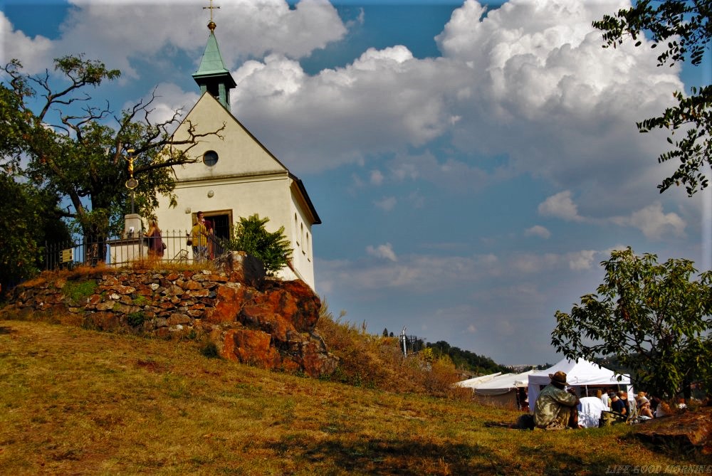 Winobranie i Ogród Botaniczny w Troi - pomysł na Pragę.