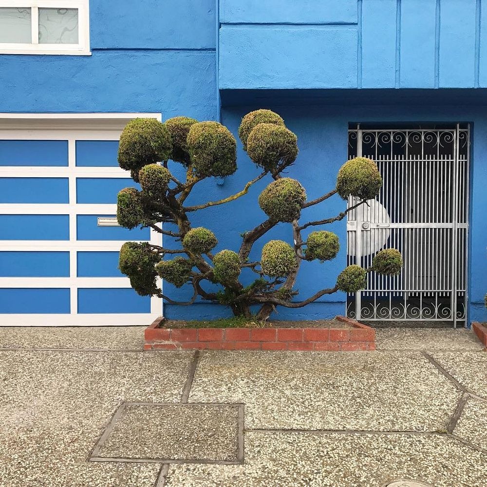 kelsey-mcclellan-topiary-5