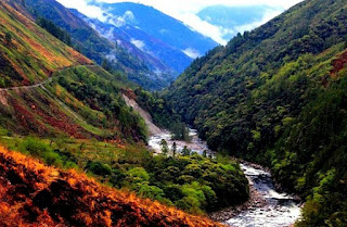 Dibang Valley District Arunachal Pradesh Recruitment