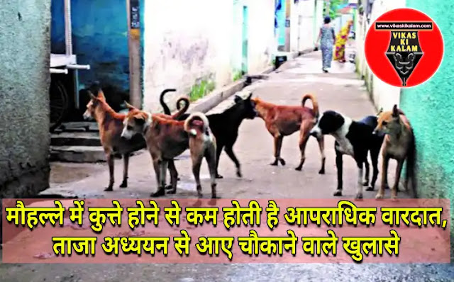 Having dogs in the locality reduces criminal incidents