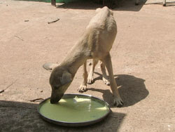 Me having a well deserved meal at the IAR centre