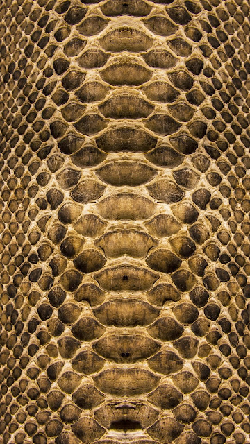 Idea, Inspiration, Art, Design, Pattern Animal, Skin, Snake, Brown, Texture, Stripe Vertical