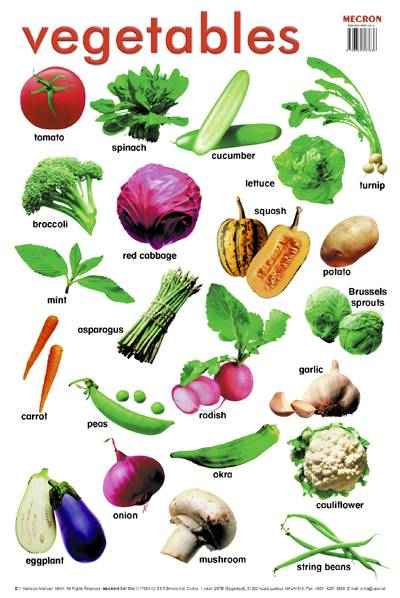 List Of All Indian Vegetables Names With Pictures | www ...