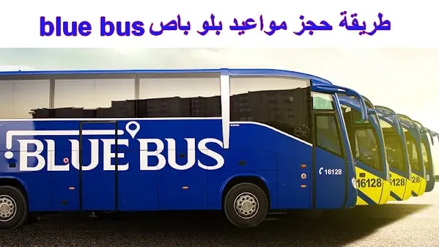 طريقة حجز مواعيد بلو باص blue bus egypt