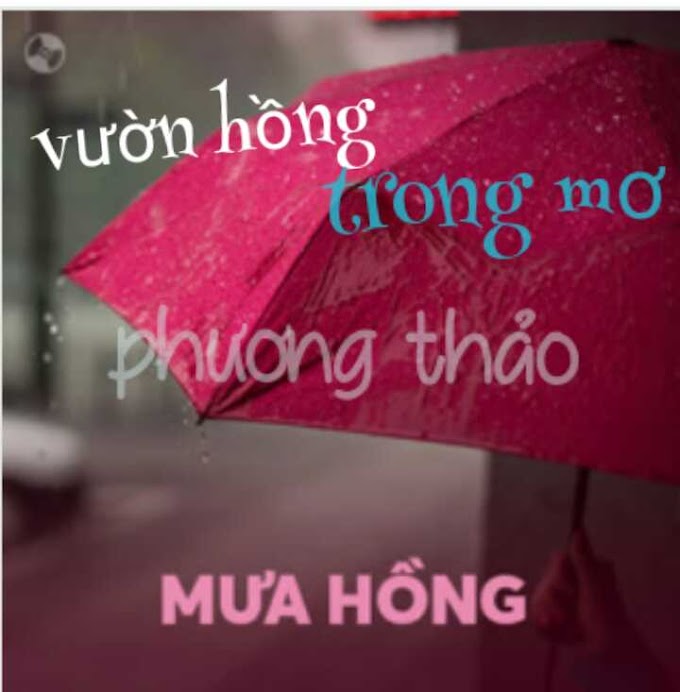 bí quyết để có vườn hoa hồng đẹp như trong mơ