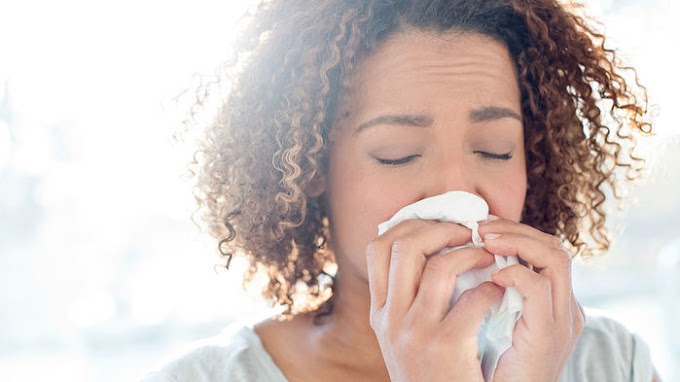 Spray de genes nasais inspirado em anticorpos de lhama pode prevenir todos os tipos de gripe