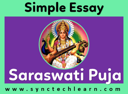 essay on saraswati puja