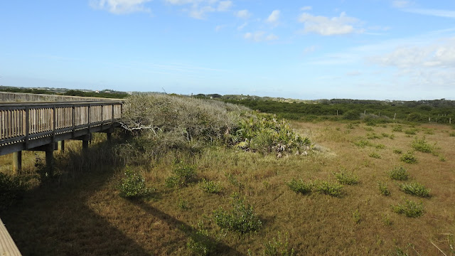 Nease Beachfront Park
