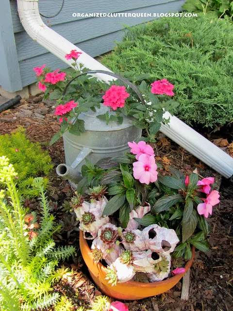 Planting in Terra Cotta Pots www.organizedclutterqueen.blogspot.com