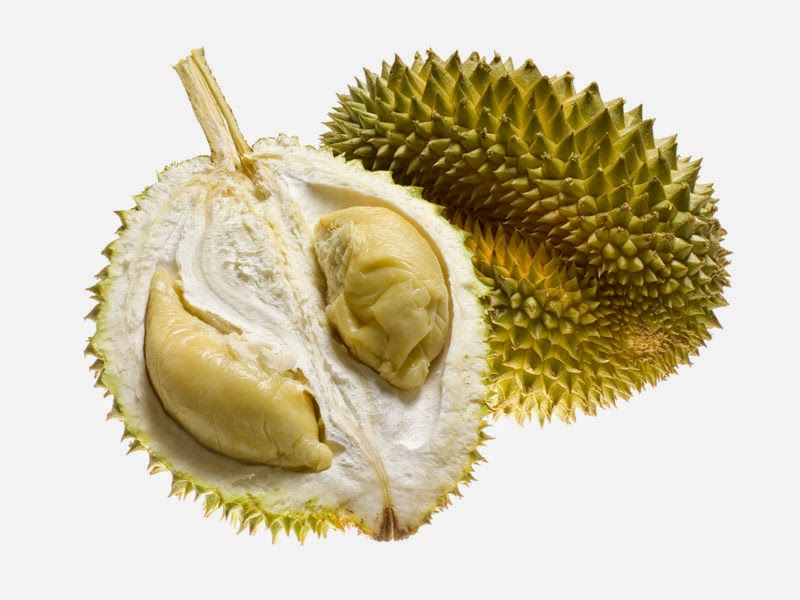  Gambar  Buah Durian Gambar  Gambar  Buah