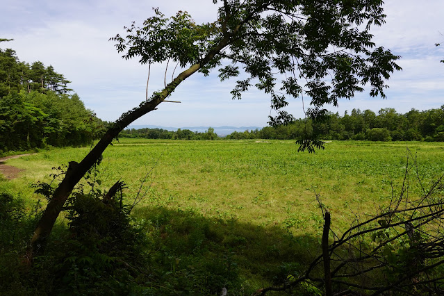 鳥取県西伯郡大山町赤松