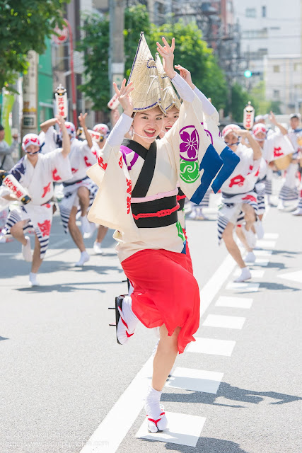 江戸っ子連の女踊りの踊り手の一人をマロニエ祭りで撮影した写真