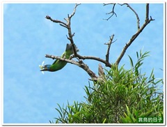 20120430_114404_016_Hualien_2
