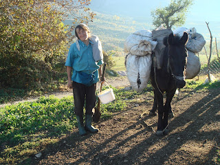 Albania, vuoristo