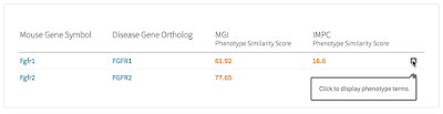 Accessing Phenogrid from the IMPC mouse model listing.