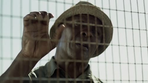 Mandela - Der lange Weg zur Freiheit 2013 kostenlos