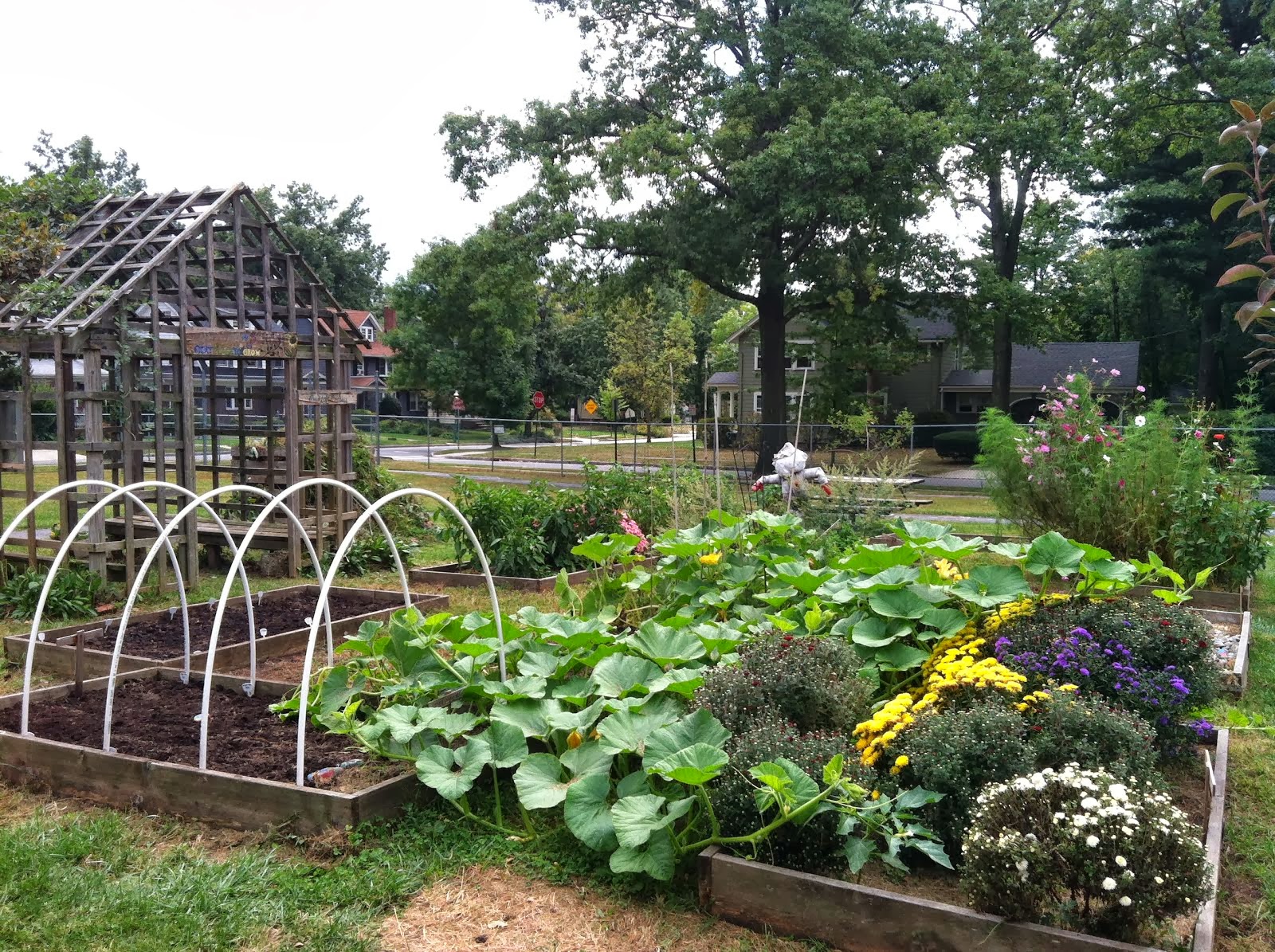 The Learning Garden, Click Photo to View: