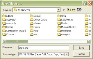 Save As expo.exe