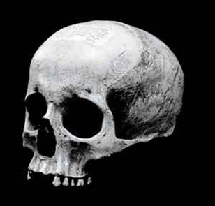 Mozart's_Skull