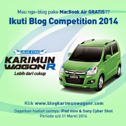 Suzuki Blog Competition 2014