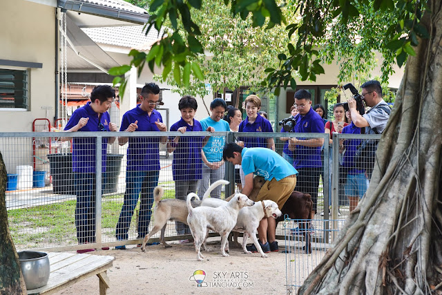 Million Loves in Me 寵我 SPCA Ampang Charity Pledge cats and dogs