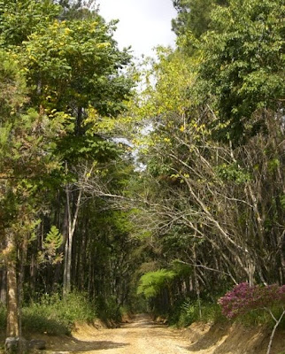 Floresta Nacional de Passa Quatro