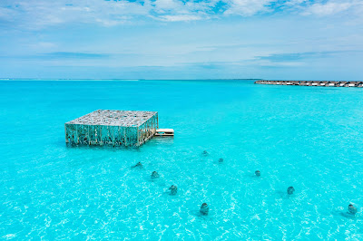 Source: Accor. The Fairmont Maldives Sirru Fen Fushi Coralarium.