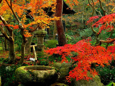 Astonishing Japanese Zen-