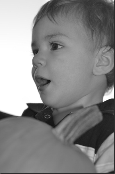 Fall2011 011
