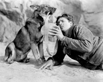 Rin Tin Tin Clash Of The Wolves Where The North Begins New On Bluray