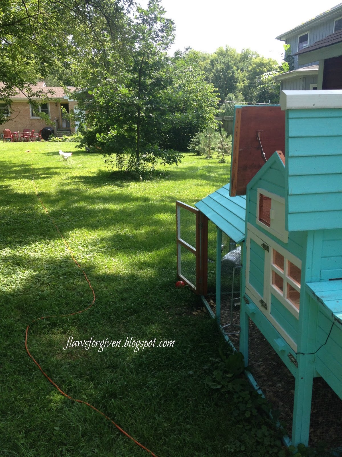 Flaws Forgiven An Affordable Chicken Hoop House