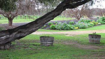 Perth Australia 2011