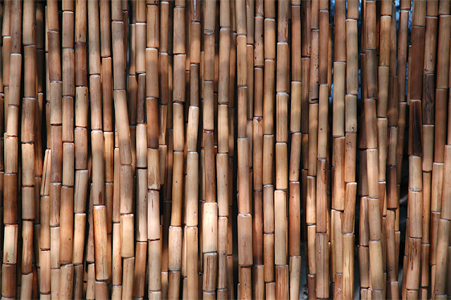 Bamboo Curtain