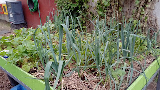 En la huerta