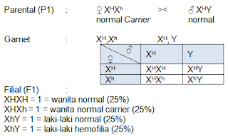 persilangan hemofilia