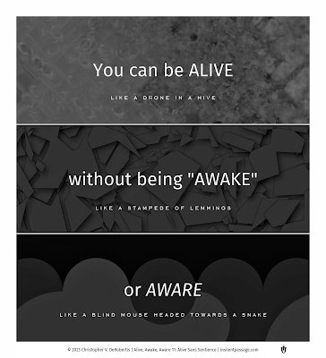 Alive, Awake, Aware 11: Alive Sans Sentience - Copyright: (c) 2023 Christopher V. DeRobertis. All rights reserved. insilentpassage.com