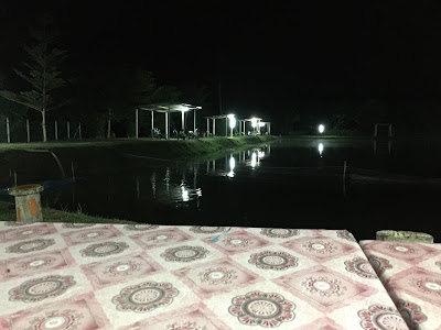 Ternakan Ayam Kampung TERNAKAN AYAM KAMPUNG DAN KINI IKAN TILAPIA