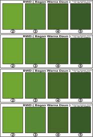 All about GREEN macam  macam  warna  hijau 